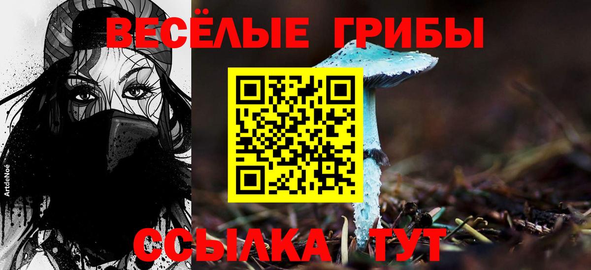 Псилоцибиновые грибы прущие грибы  Вход с VPN  Галлюциногенные грибы мицелий  Маркс 