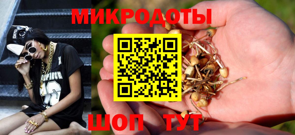 Галлюциногенные грибы мухоморы Маркс